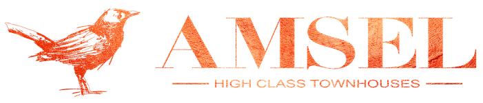 Amsel-Logoweb